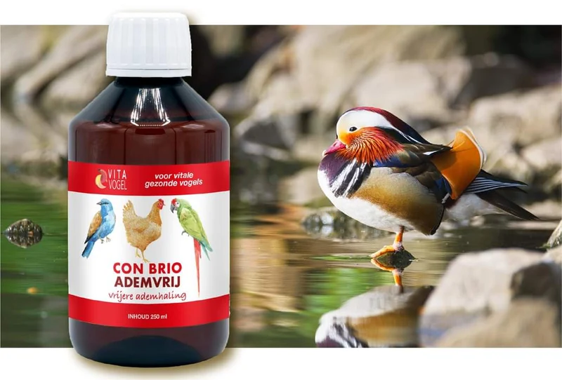 Con Brio Breath Free 500ml - Vita Vogel