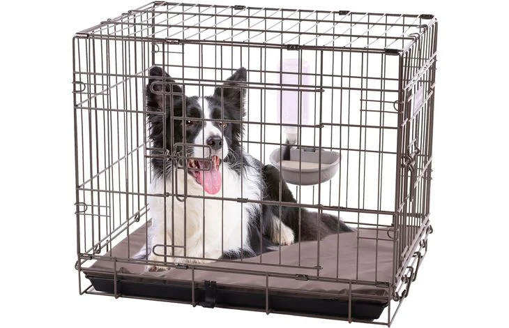 Abreuvoir Avec Bouteille Pour Wire Cage 480ml - Flamingo