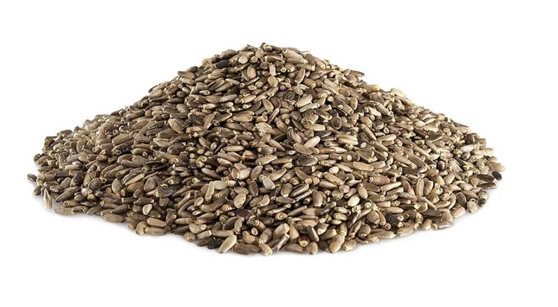 Graines de chardon-Marie 500 grammes - Bird-X Grizo