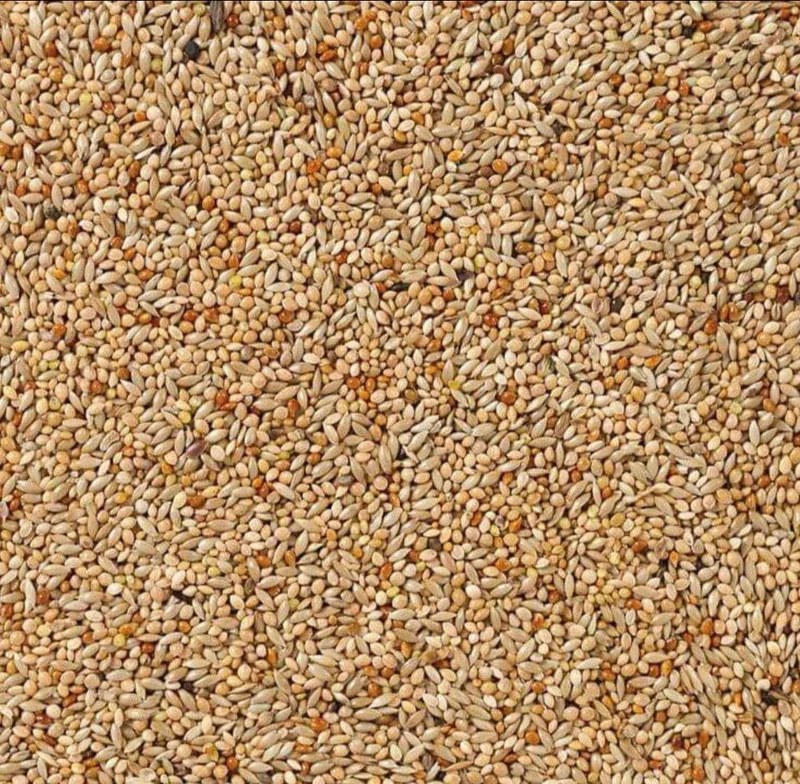 Deli Nature 40 Oiseaux Tropicaux Basic 1kg