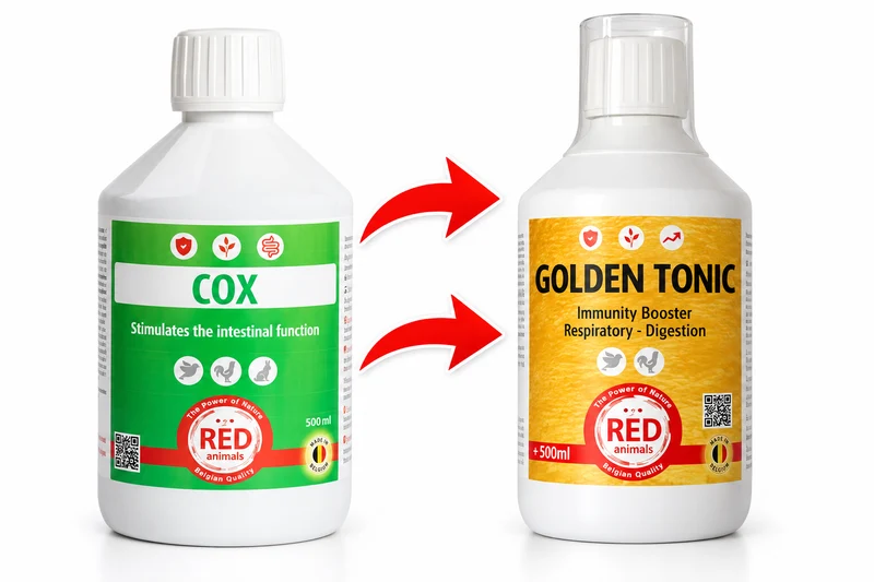 - REMPLACÉ PAR GOLDEN TONIC - Cox (Santé intestinale) 500 ml - Red Animals