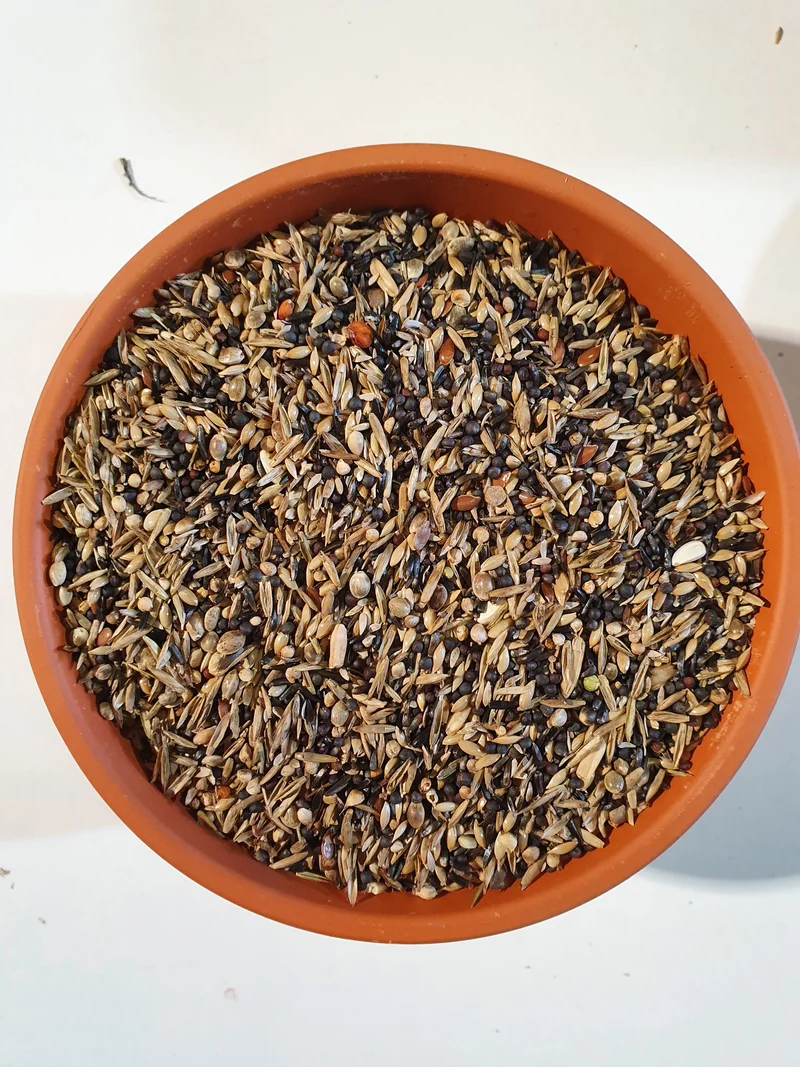 Mix Spécial Tarin et Chardonnerets 5kg - Duvo+