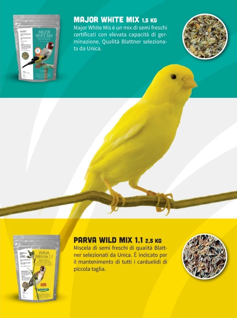 Major White Mix 1.5kg - Graines spéciales - Haut pouvoir germinatif - Unica & Blattner