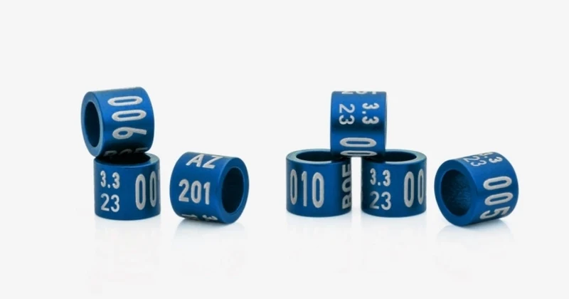 Anneaux Annuels Fermés 2023 - 11 mm