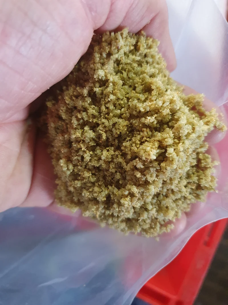 Multi-aliments rapide Carduelis et Spinus 1 kg (emballé) - Green Eggfood