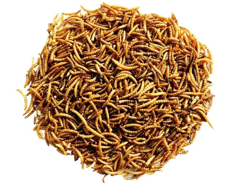 Menu Nature - Vers de farine séchés - Alimentation - 300 grammes - Versele Laga