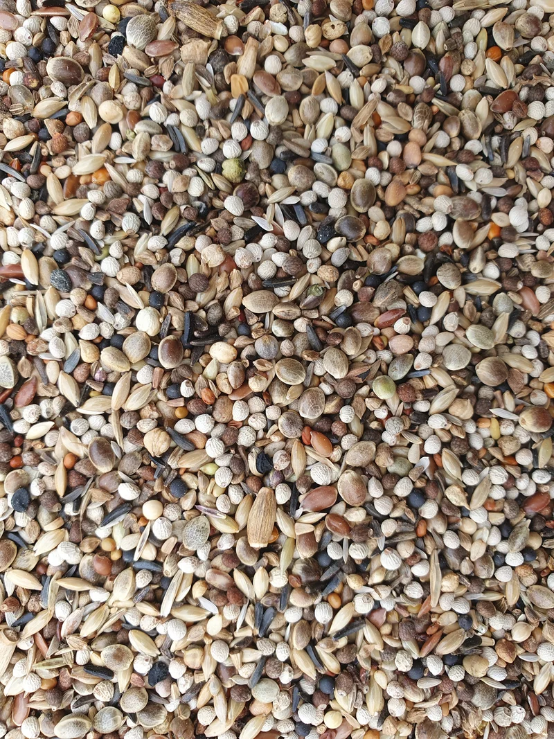 Super RE Chardonnerets 1kg - Hobbyfarm Hoebregts