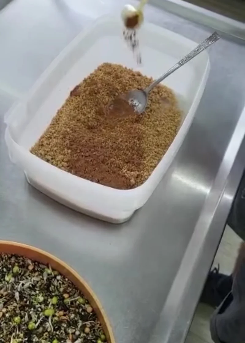Mue parfaite - Mélange d'herbes pour oiseaux