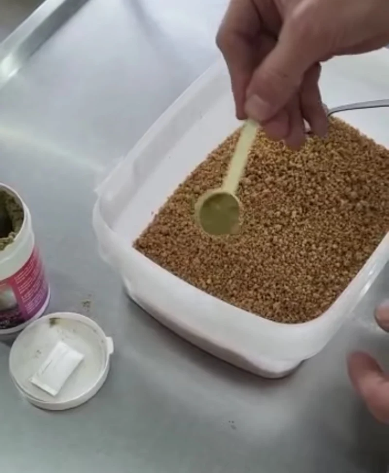 Mue parfaite - Mélange d'herbes pour oiseaux