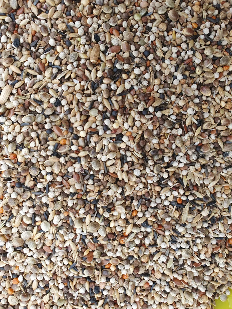 Super RE Chardonnerets 5kg - Hobbyfarm Hoebregts