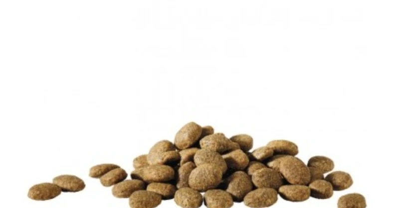 Happy Life Essential 20kg - Nourriture sèche de base pour chiens adultes