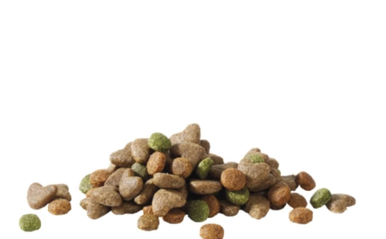 Happy Life Junior Chicken 2.5 kg Aliment varié pour poulets en pleine croissance - Aliment complet pour chiots en croissance