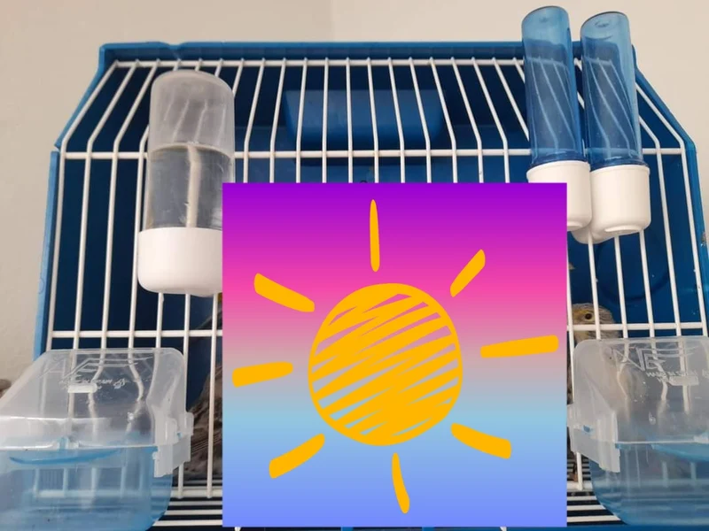 Mangeoire "Lucia" BLEU avec plateau amovible - Moldes Ave