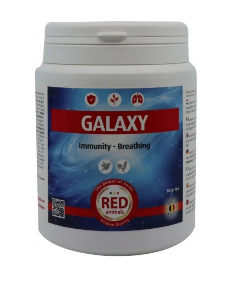 Galaxy (Argile Verte + Huiles Essentielles) 300gr - Pour Pigeons et Oiseaux
