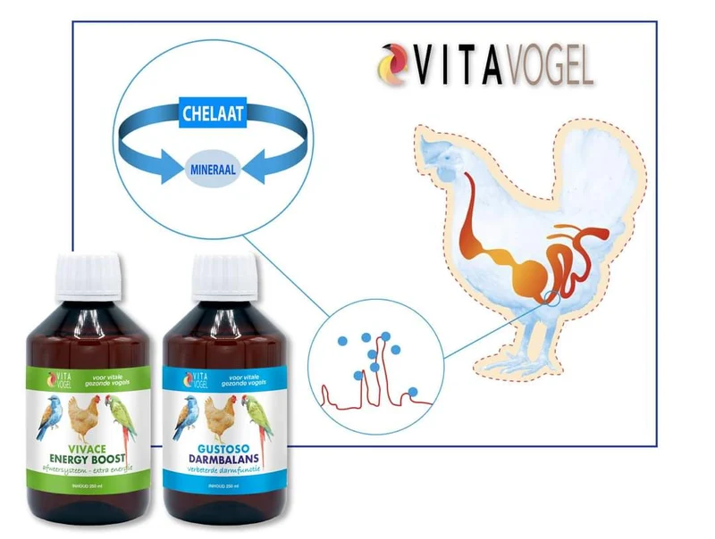 Vita Vogel Combo - Chélates : pour un effet efficace