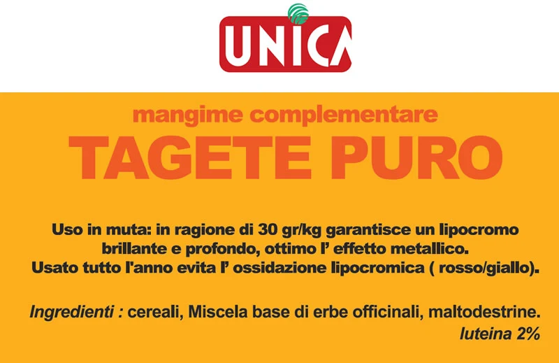 Tagete Puro (Souci pur) 100 grammes - Unica