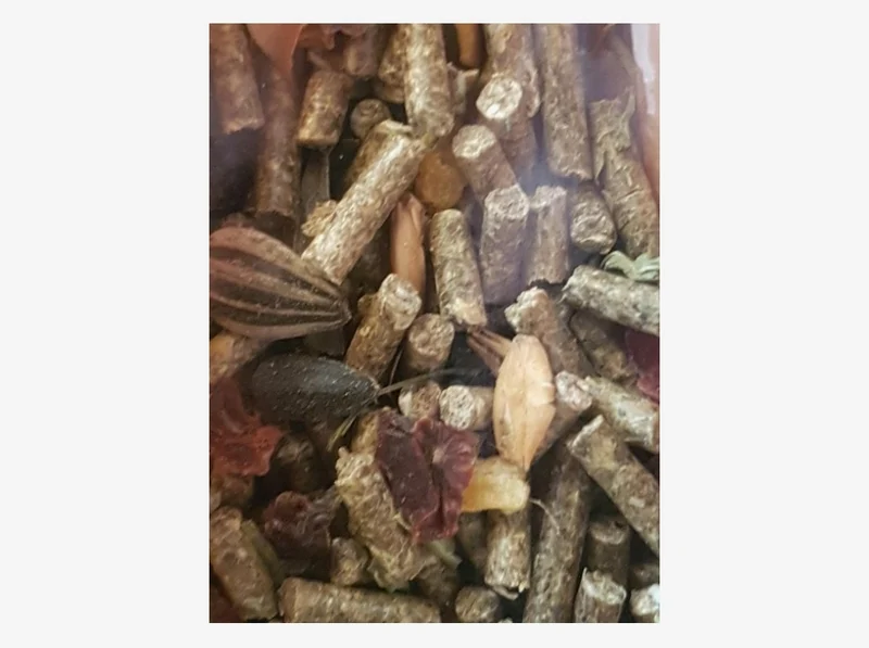 Deli Nature Menu 5 Étoiles Chinchilla 2,5 kg