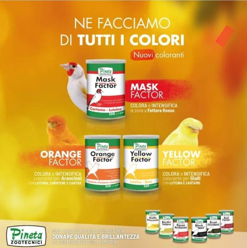 Facteur de masque 250 grammes - Pineta