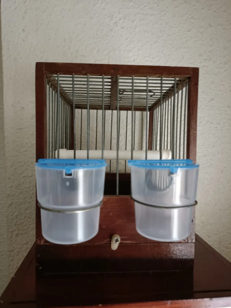 Chargeur catalan - Moldes Ave