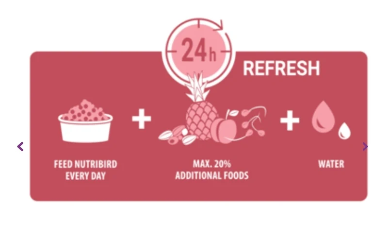 Nutribird C15 Aliment d'entretien pour canaris 10 kg (remplace Perle Morbide) - Nourriture pour oiseaux