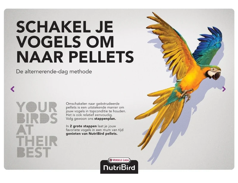 Nutribird C15 Aliment d'entretien pour canaris 10 kg (remplace Perle Morbide) - Nourriture pour oiseaux