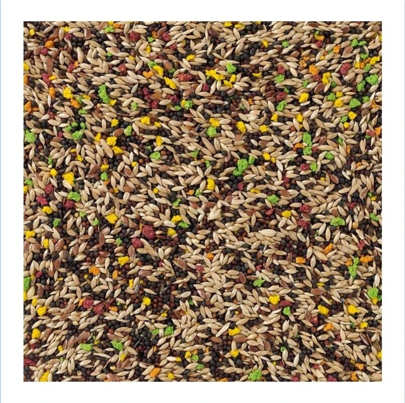 Canari Aux Fruits 20kg Bird-X