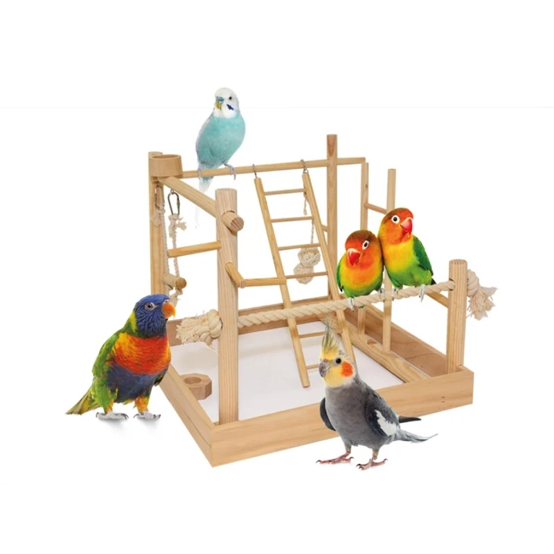 Aire de jeux pour oiseaux 3 en 1