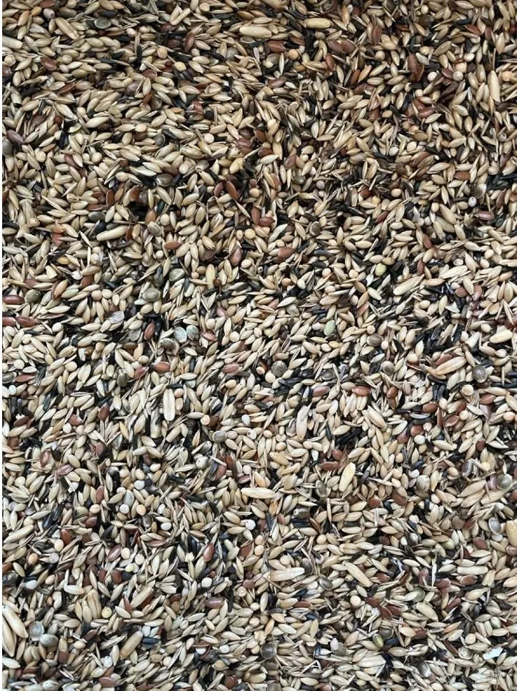Mélange de qualité King Canary sans colza 20 kg