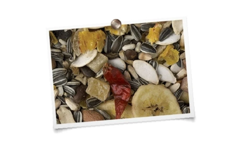 Mélange Perroquet Aux Fruits "Luxe" 5kg (auto-emballé)