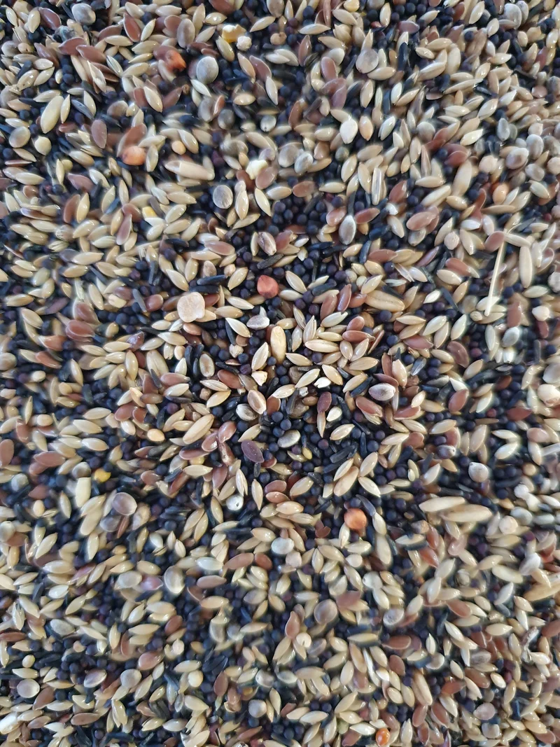 Chardonnerets & Tarins Basic Bird-X Mix 1kg