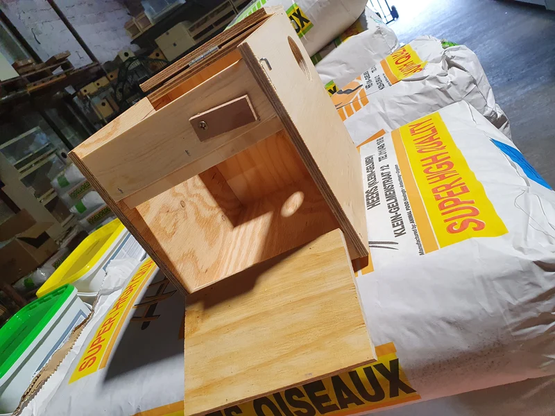 Nichoir en bois pour petites perruches (modèle spécial)