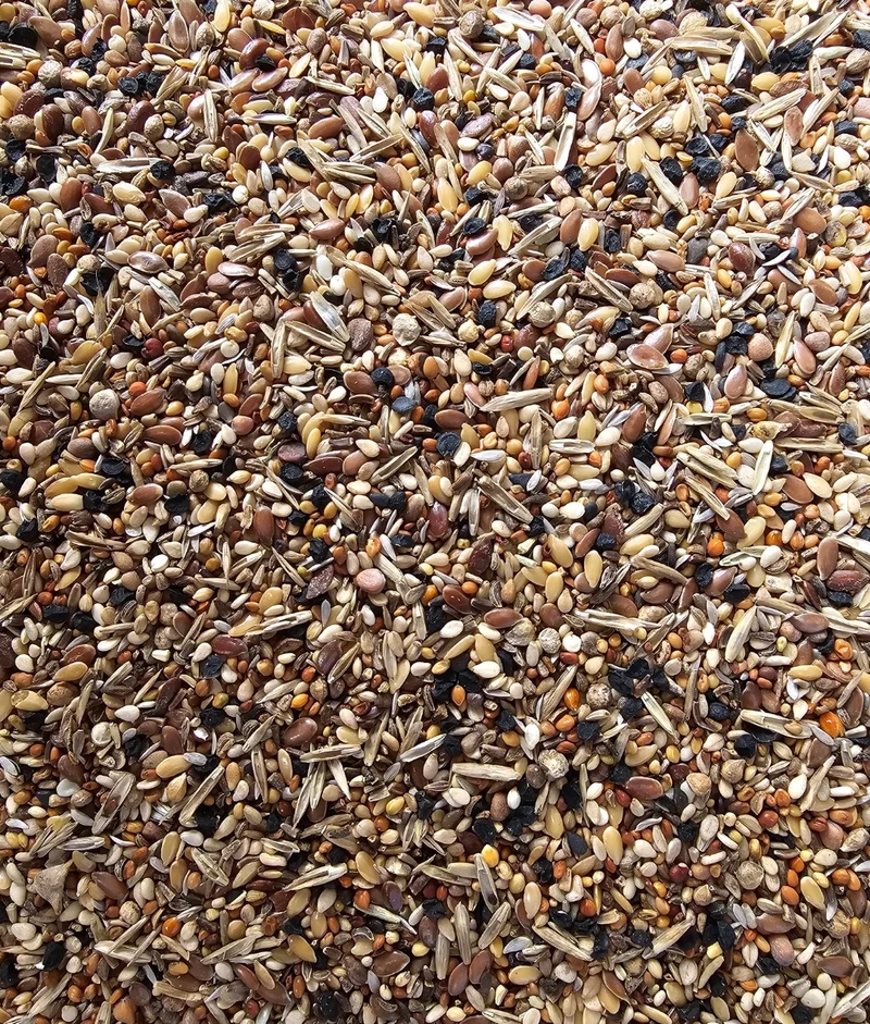 Graines santé (graines sauvages) - Versele Laga 1kg