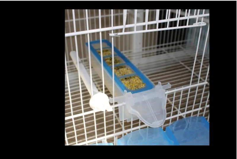 Forfait Combo, - Cupe, - Apollo Feeder