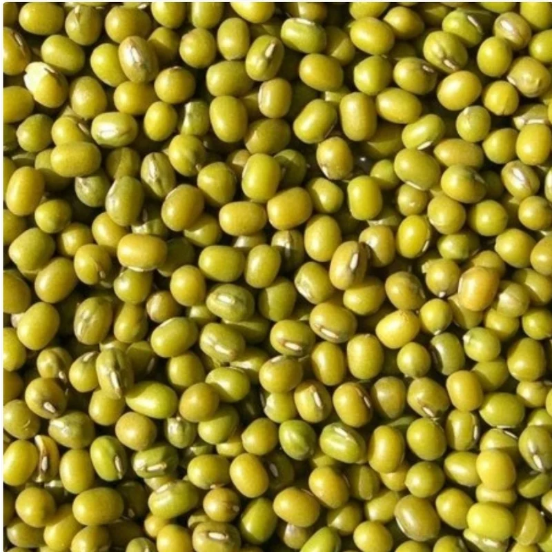 Katjang Idjoe (graines germées - haricots mungo verts) 5 kg