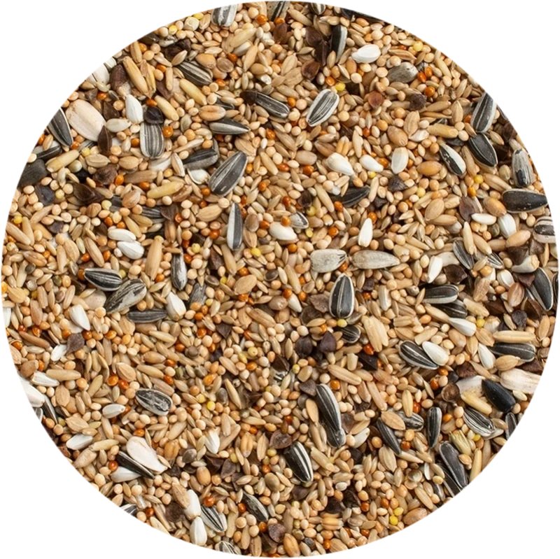 Grandes perruches Standard 20 kg - Deli Nature 30