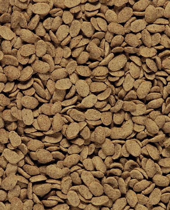 Nutribird P15 original 3kg - Granulés extrudés - Aliment d'entretien pour perroquets