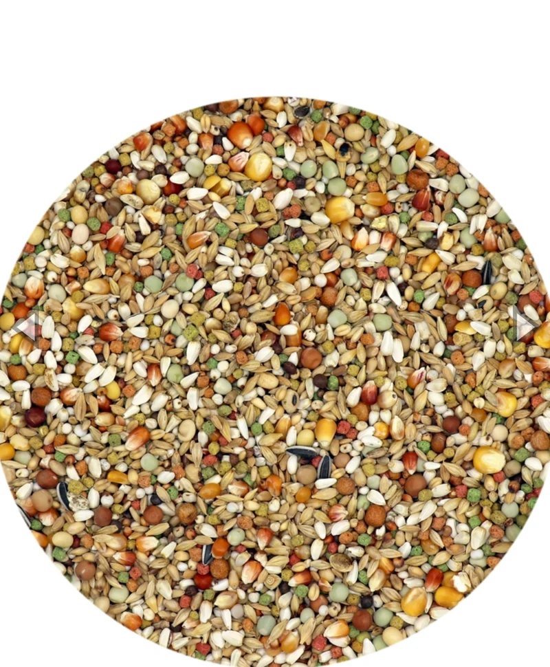 Plus IC+ Junior Jeunes Pigeons 20kg - Nourriture pour Pigeons - 20 kg - Versele Laga