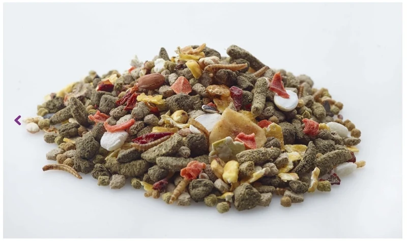 Nature Gerbille - Nourriture pour gerbilles - 700 grammes - Versele Laga