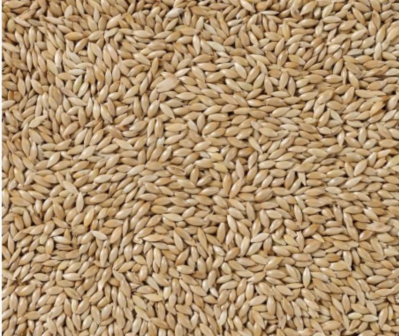 Deli Nature 86 - Graine Canaries Extra 20kg