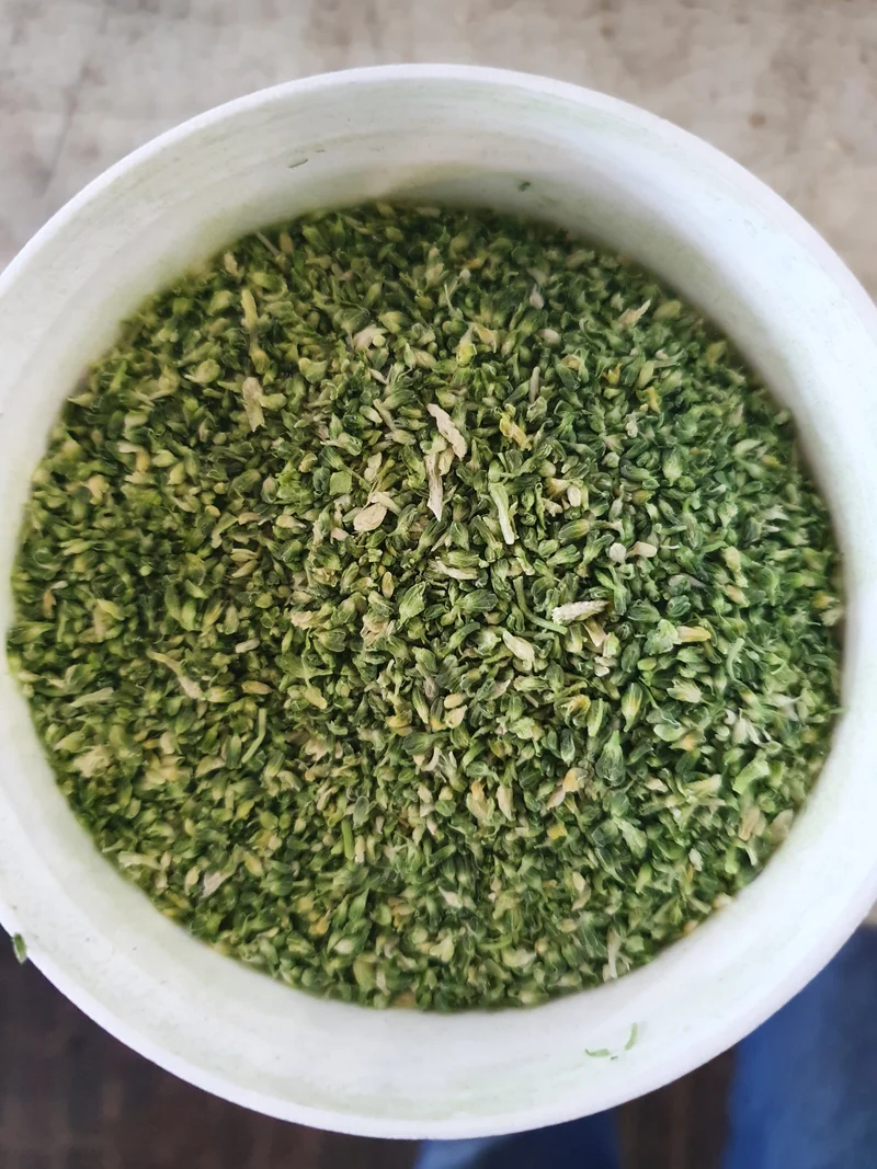 Brocoli 100g - apport en protéines et minéraux - Quiko