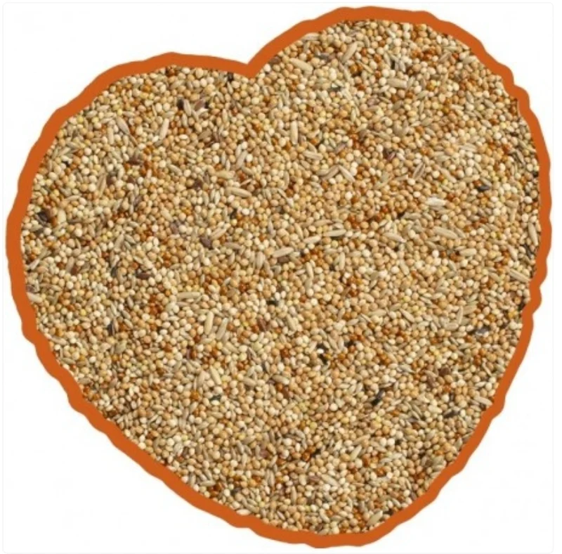 Mélange pour perruches ondulées 4 kg Duvo+