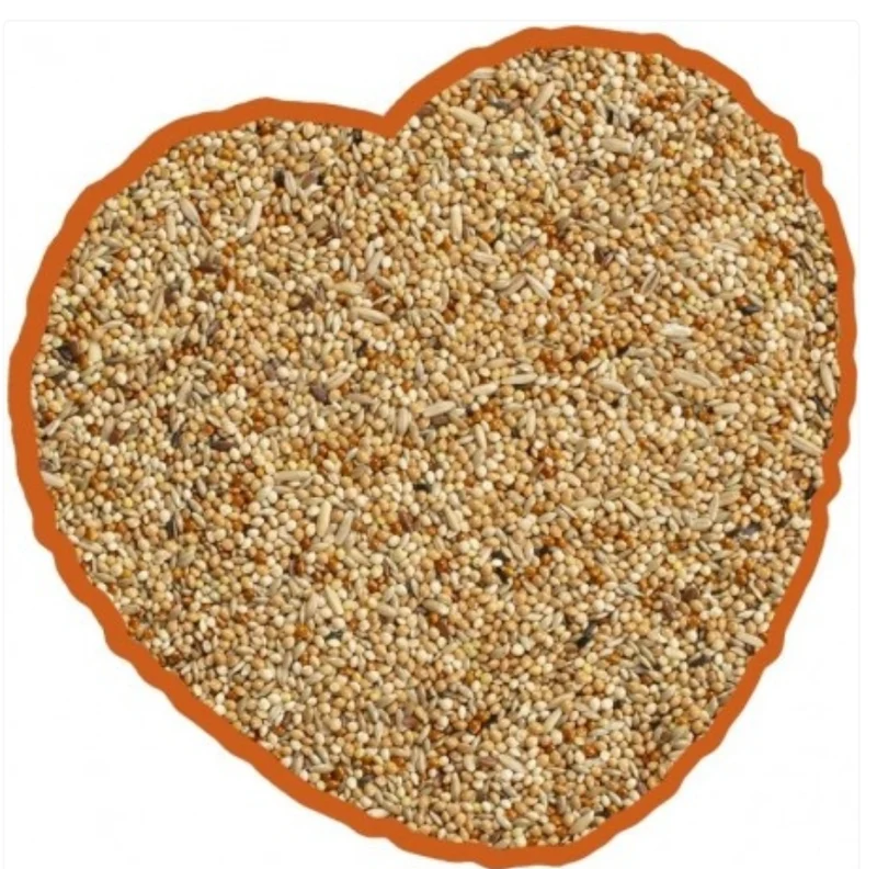 Mélange pour perruches ondulées 1 kg Duvo+
