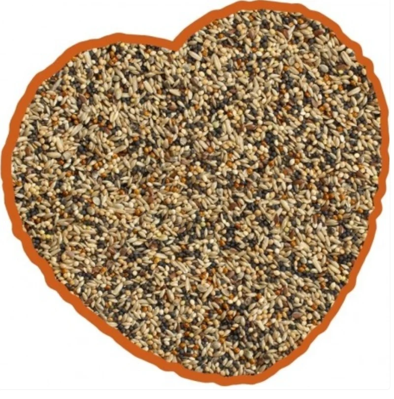 Mélange Volière 4kg Duvo+