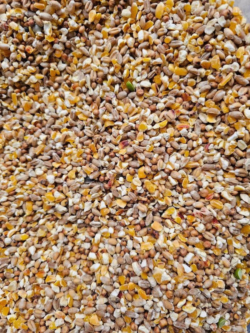 Poeljen grain 20kg - Aliments pour poulets - Sans marque