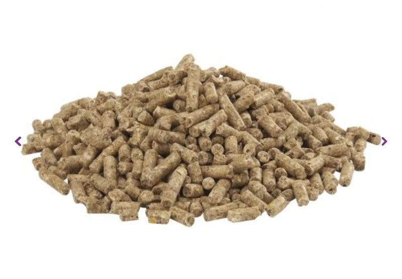 Country's Best Gold 4 Pellet de ponte Gallico Pellet - Aliment pour poulet - 20 kg à partir du 1er œuf