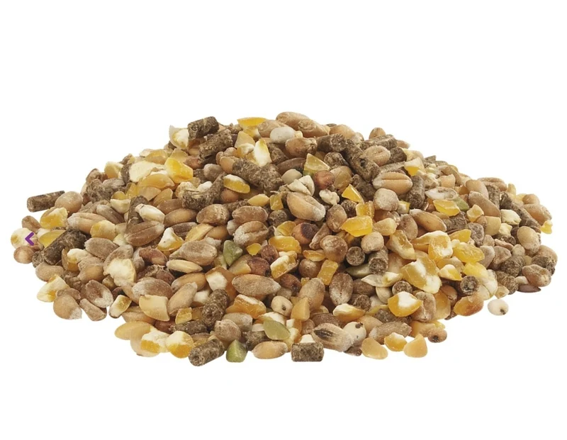Country's Best Gold 4 Mix Poulet-Grain Avec Pellet De Pose 20kg