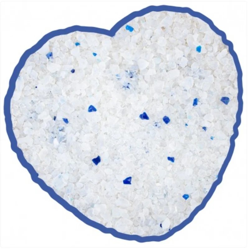 Litière Silica Cat 5L - Duvo+