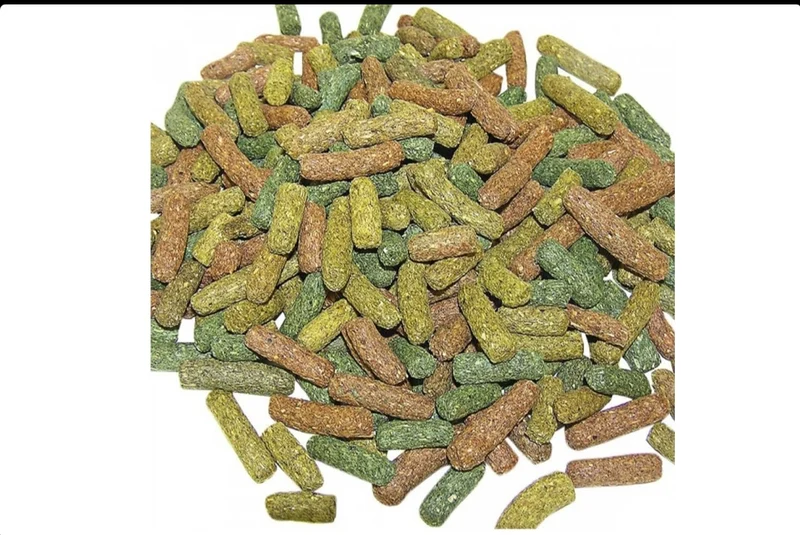 Reptilix Tortue Granulés 1 kg - Versele Laga