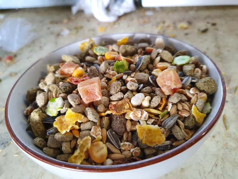 Nourriture Nature pour Rats - Versele Laga