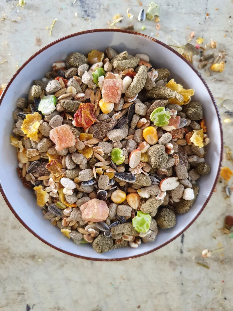 Nourriture Nature pour Rats - Versele Laga
